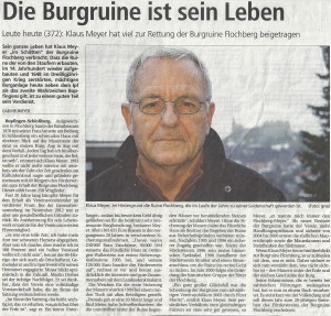 artikel31